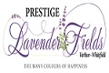 Prestige Lavender Fields